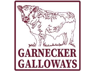 Garnecker Galloways